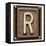 Metal Button Alphabet Letter R-donatas1205-Framed Stretched Canvas