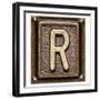 Metal Button Alphabet Letter R-donatas1205-Framed Premium Giclee Print