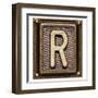 Metal Button Alphabet Letter R-donatas1205-Framed Art Print