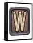 Metal Button Alphabet Letter W-donatas1205-Framed Stretched Canvas