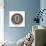 Metal Button Alphabet Letter-donatas1205-Art Print displayed on a wall