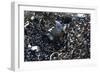 Metal Coils I-Brian Moore-Framed Photographic Print