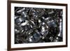 Metal Coils II-Brian Moore-Framed Photographic Print