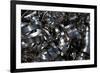 Metal Coils II-Brian Moore-Framed Photographic Print