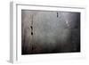 Metal Door With Rust and Paint-null-Framed Photo