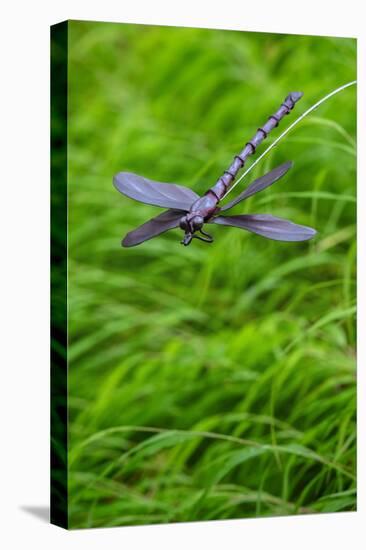 Metal dragonfly garden ornament-Lisa Engelbrecht-Stretched Canvas