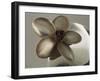 Metal Flower of Hammered Silver Center Piece-Arthur A. Dixon-Framed Giclee Print