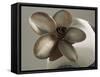 Metal Flower of Hammered Silver Center Piece-Arthur A. Dixon-Framed Stretched Canvas