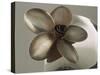 Metal Flower of Hammered Silver Center Piece-Arthur A. Dixon-Stretched Canvas