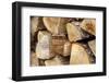 Metal Heart, Wood Pile-Andrea Haase-Framed Photographic Print