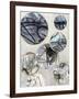 Metal Rings I-Tom Reeves-Framed Art Print