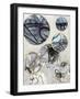 Metal Rings I-Tom Reeves-Framed Art Print