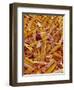 Metal Shavings-Micro Discovery-Framed Premium Photographic Print