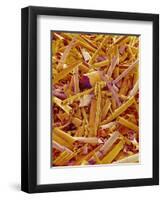 Metal Shavings-Micro Discovery-Framed Premium Photographic Print