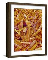 Metal Shavings-Micro Discovery-Framed Photographic Print