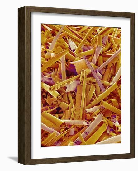 Metal Shavings-Micro Discovery-Framed Photographic Print