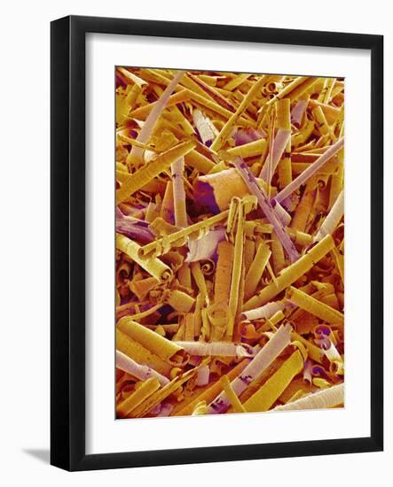 Metal Shavings-Micro Discovery-Framed Photographic Print