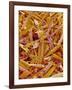 Metal Shavings-Micro Discovery-Framed Photographic Print