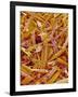 Metal Shavings-Micro Discovery-Framed Photographic Print