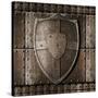 Metal Shield Over Armour Background With Rivets-Andrey_Kuzmin-Stretched Canvas