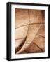 Metal Structure-Design Fabrikken-Framed Photographic Print