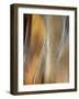 Metallic abstract.-Merrill Images-Framed Photographic Print