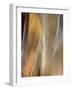 Metallic abstract.-Merrill Images-Framed Photographic Print