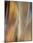 Metallic abstract.-Merrill Images-Mounted Photographic Print