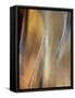 Metallic abstract.-Merrill Images-Framed Stretched Canvas