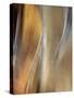 Metallic abstract.-Merrill Images-Stretched Canvas