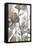 Metallic Garden I-Jennifer Goldberger-Framed Stretched Canvas