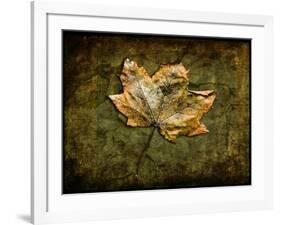 Metallic Leaf 1-LightBoxJournal-Framed Giclee Print
