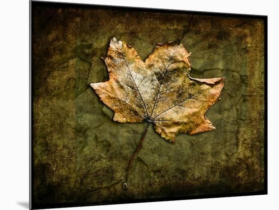 Metallic Leaf 1-LightBoxJournal-Mounted Giclee Print