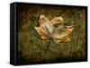 Metallic Leaf 1-LightBoxJournal-Framed Stretched Canvas