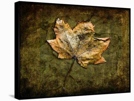 Metallic Leaf 1-LightBoxJournal-Stretched Canvas