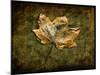 Metallic Leaf 1-LightBoxJournal-Mounted Giclee Print