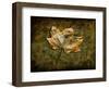 Metallic Leaf 1-LightBoxJournal-Framed Giclee Print