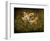 Metallic Leaf 1-LightBoxJournal-Framed Giclee Print