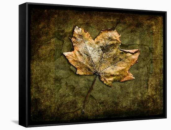 Metallic Leaf 1-LightBoxJournal-Framed Stretched Canvas