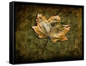 Metallic Leaf 1-LightBoxJournal-Framed Stretched Canvas