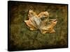 Metallic Leaf 1-LightBoxJournal-Stretched Canvas