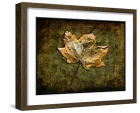 Metallic Leaf 1-LightBoxJournal-Framed Giclee Print