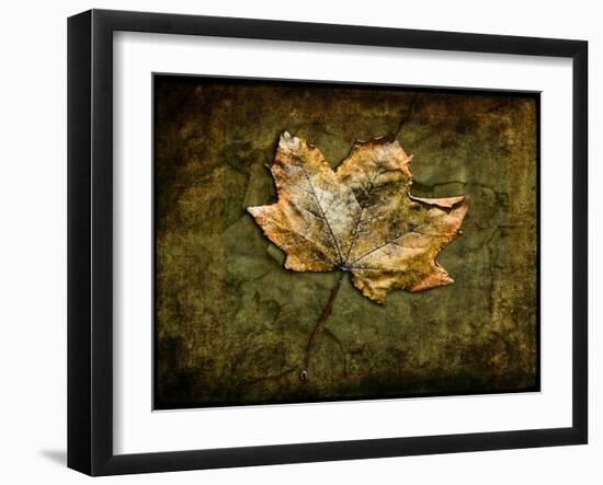 Metallic Leaf 1-LightBoxJournal-Framed Giclee Print