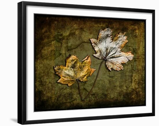 Metallic Leaf 2-LightBoxJournal-Framed Giclee Print