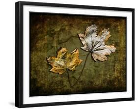 Metallic Leaf 2-LightBoxJournal-Framed Giclee Print