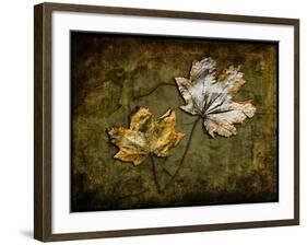 Metallic Leaf 2-LightBoxJournal-Framed Giclee Print