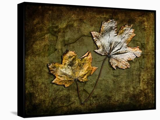 Metallic Leaf 2-LightBoxJournal-Stretched Canvas