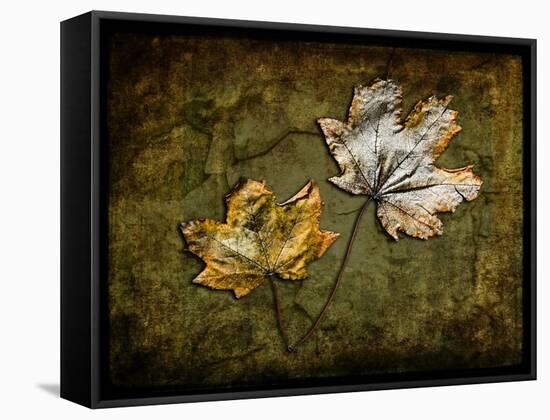 Metallic Leaf 2-LightBoxJournal-Framed Stretched Canvas