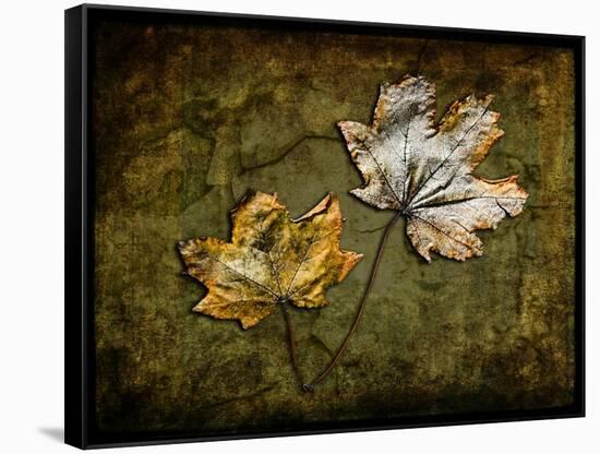 Metallic Leaf 2-LightBoxJournal-Framed Stretched Canvas