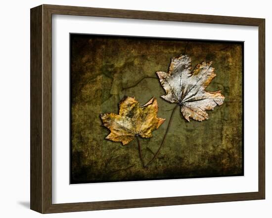 Metallic Leaf 2-LightBoxJournal-Framed Giclee Print